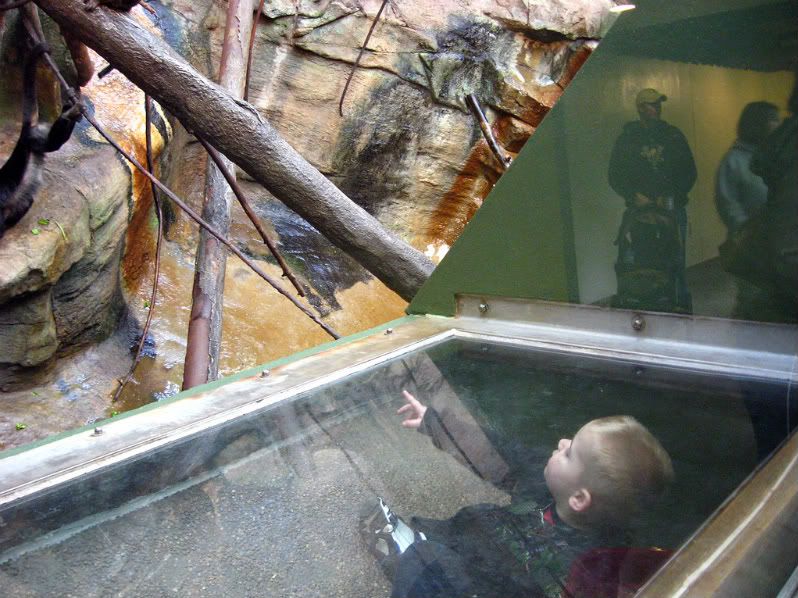 IMAGE: http://i210.photobucket.com/albums/bb276/coondogg15210/IMG_8858.jpg