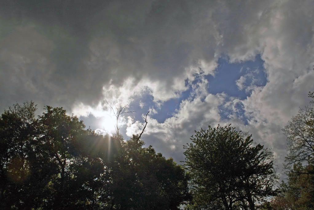 IMAGE: http://i210.photobucket.com/albums/bb276/coondogg15210/_MG_2113.jpg