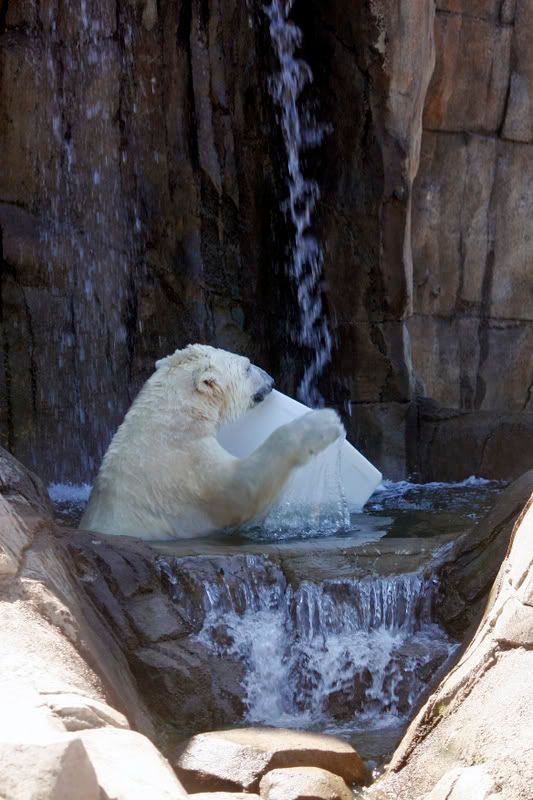 IMAGE: http://i210.photobucket.com/albums/bb276/coondogg15210/b4cc87ba.jpg