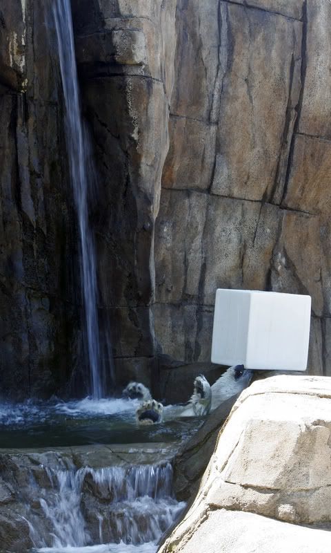 IMAGE: http://i210.photobucket.com/albums/bb276/coondogg15210/eae70ca9.jpg