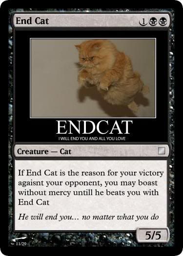 End Cat