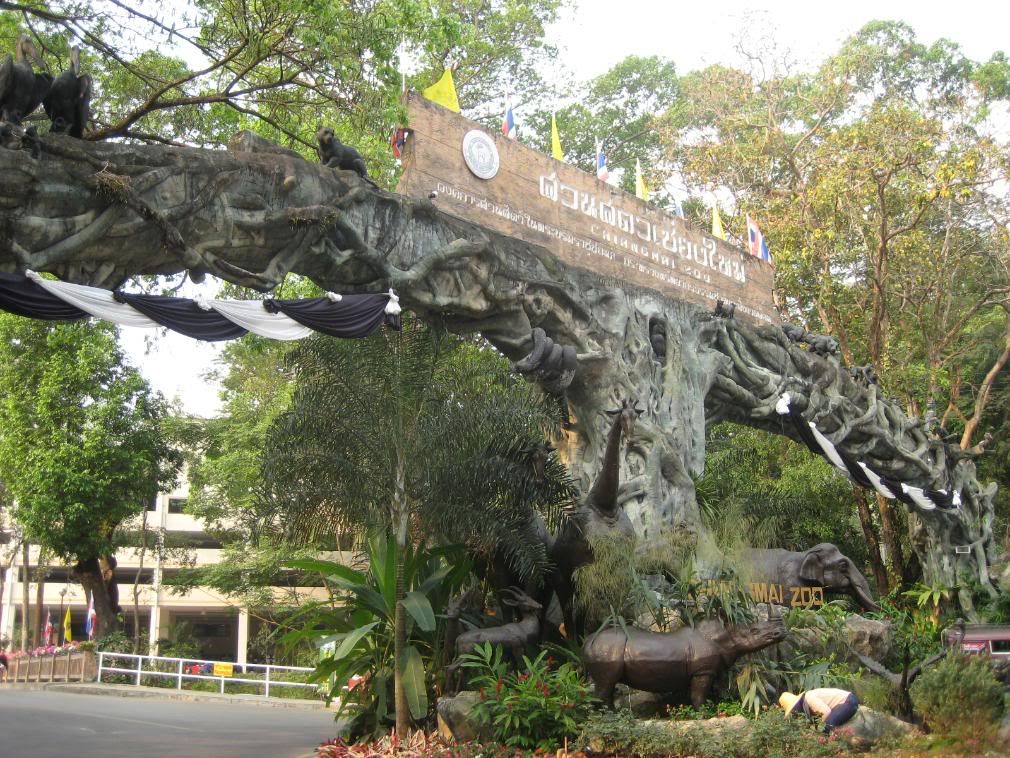 Chiang Mai Zoo - Thailand - Sloggs Blog - WorldNomads Adventures