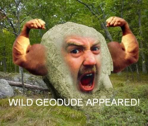 Geodude.jpg