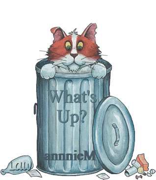 2WhatsUpKittyannnieM.gif picture by annnieM_2007