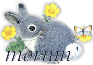GREYBUNNYBUTTERFLYgoodmorning.gif picture by annnieM_2007