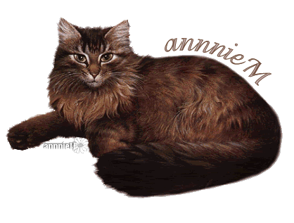 zando.gif picture by annnieM_2007
