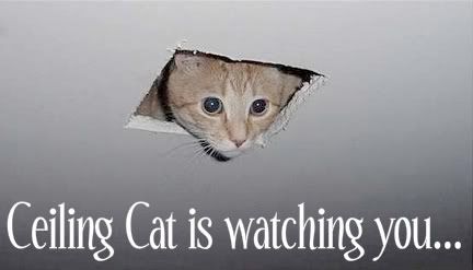 ceiling cat photo:  ceiling_cat.jpg