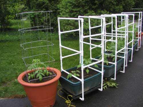 Nancysil2 photo nancysil2_zps459b1d52.jpg