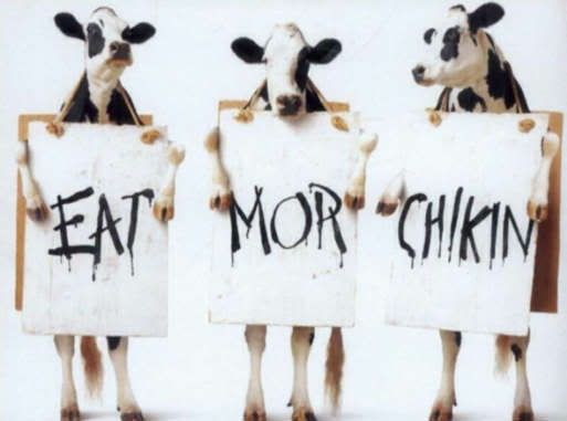 funny-animal-picture-cows-with-sign.jpg