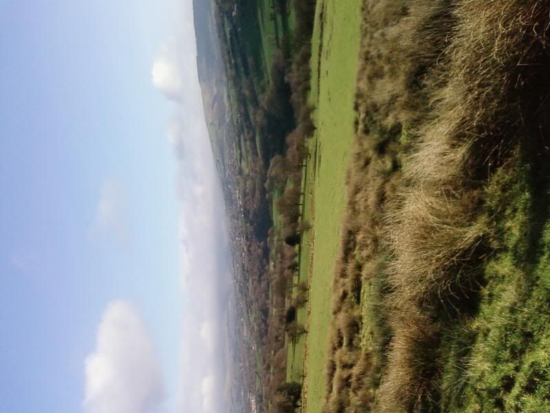 Photo0118.jpg