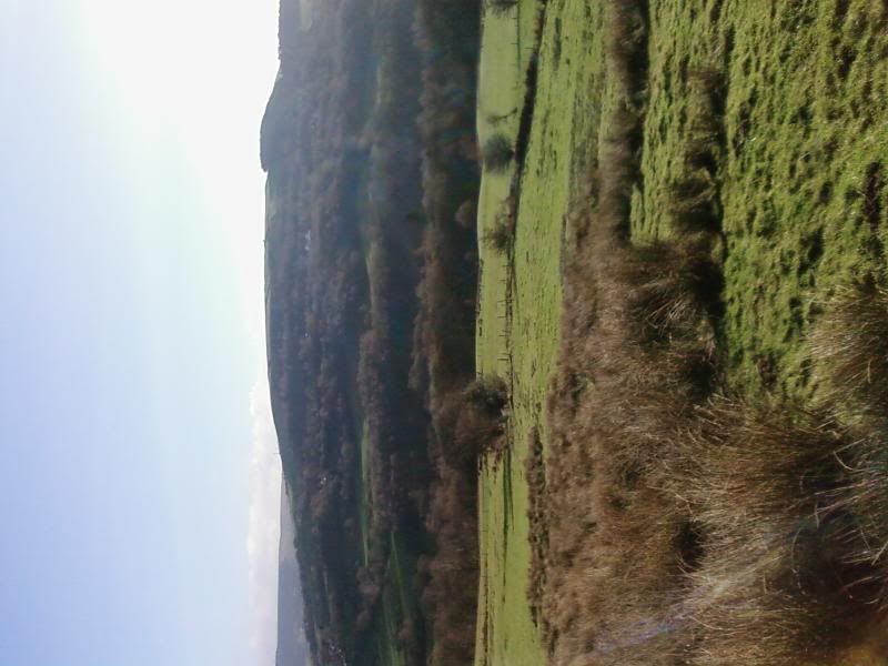 Photo0119.jpg