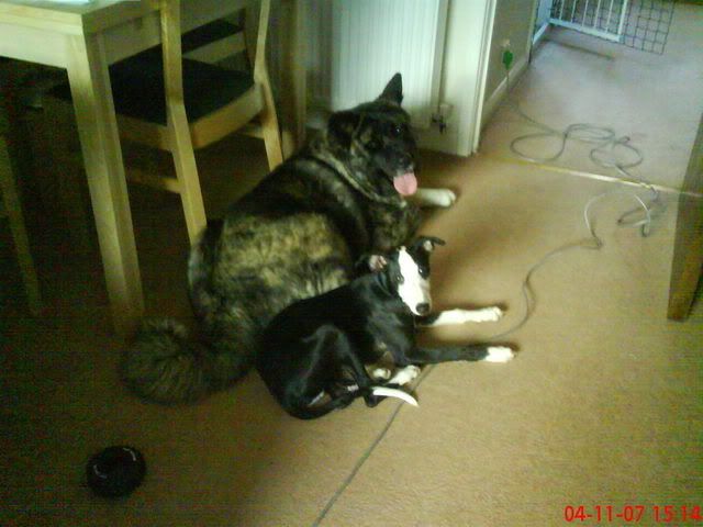 DSC00050.jpg