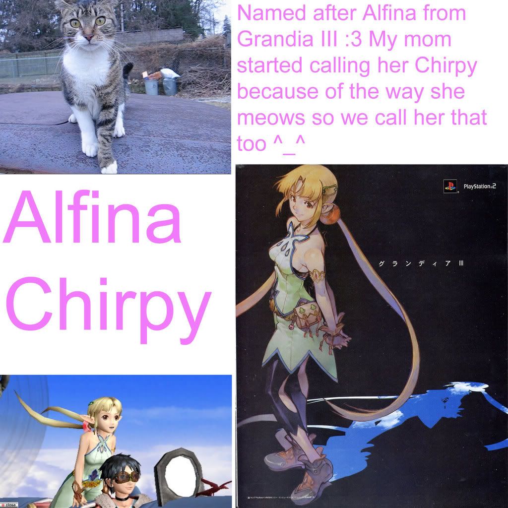 Alfina/Chirpy