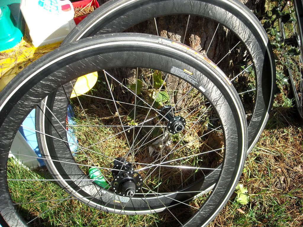 Gigantex Rims