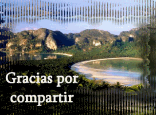 graciasporcompartir.gif picture by Ana-Lili