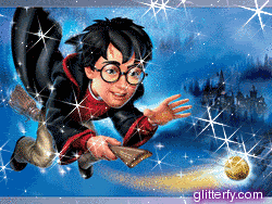 Harry Potter Harry Potter