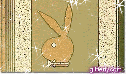 Playboy Bunny