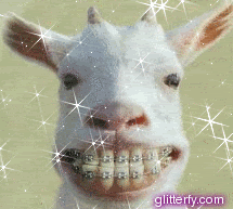 Goat with a Grill