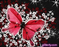 http://i210.photobucket.com/albums/bb40/glitterfy_com-2/graphics/98/butterfly2.gif