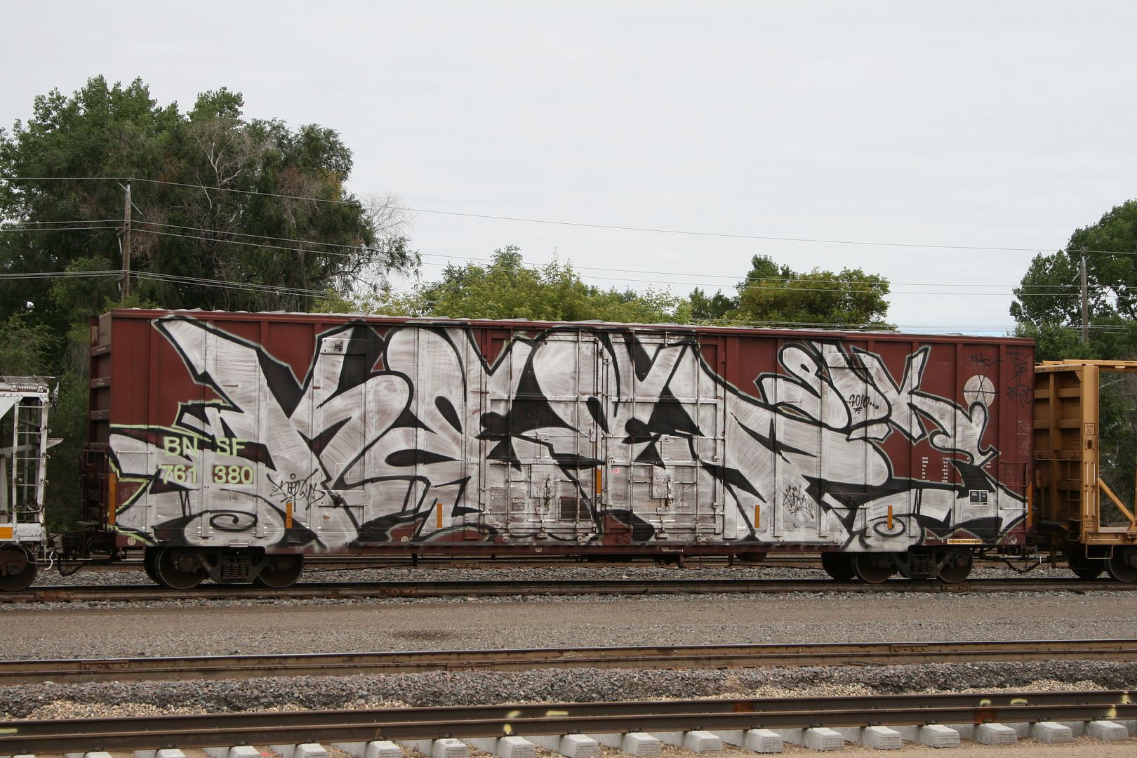 IMG_5114_zps581165d1.jpg