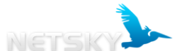 netskylight-250x100.png