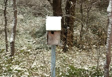 snow 3-7 snow 3-7