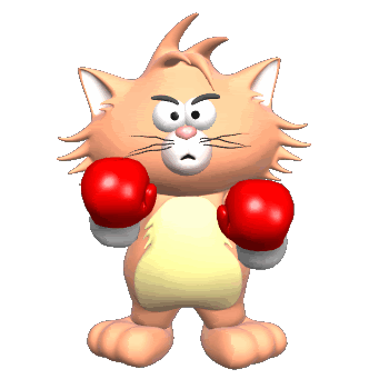 cat_with_boxing_gloves.gif