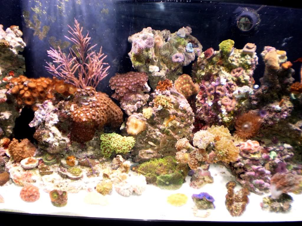 AquariumPictures167.jpg