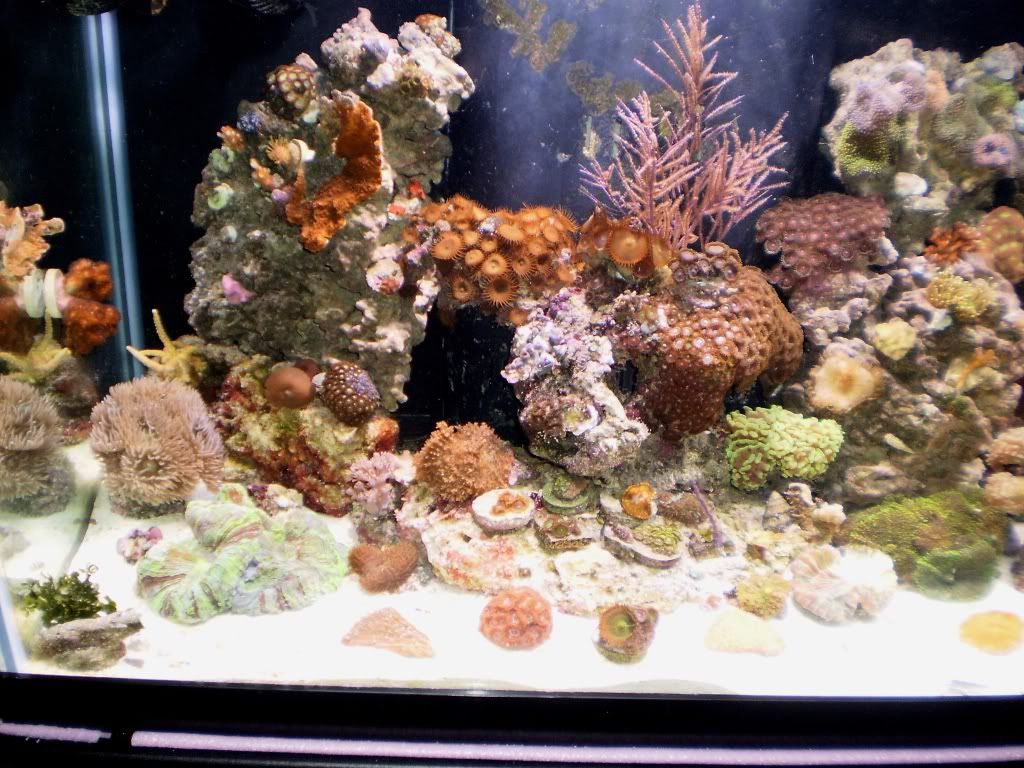 AquariumPictures168.jpg