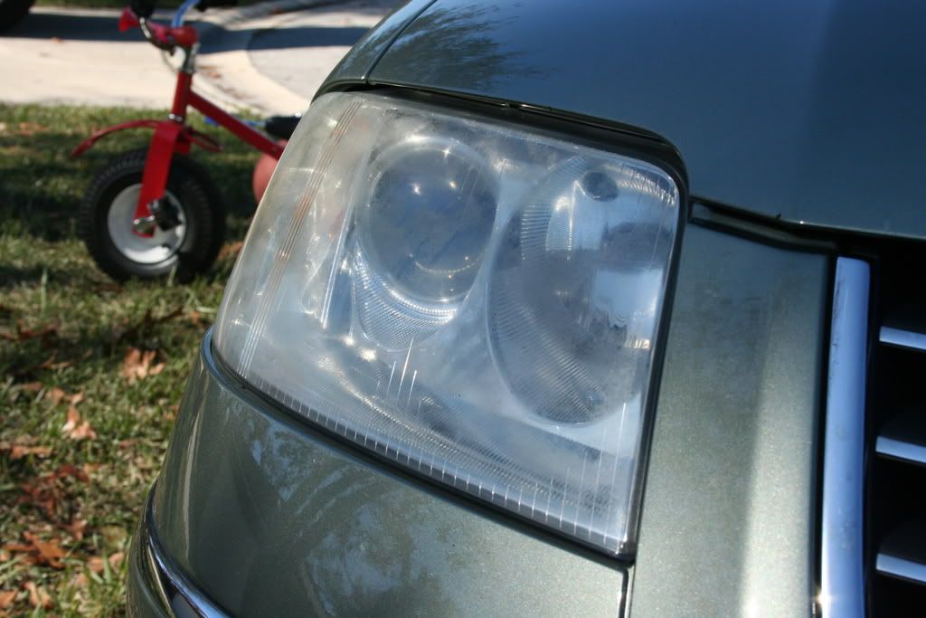 IMG_5817.jpg