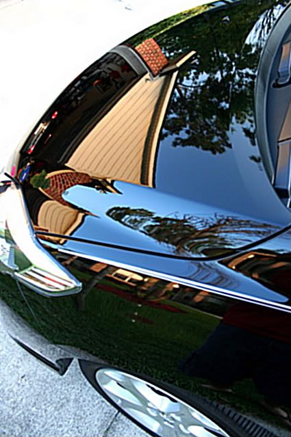 IMG_3544_adj.jpg