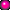photo rozepunt.gif