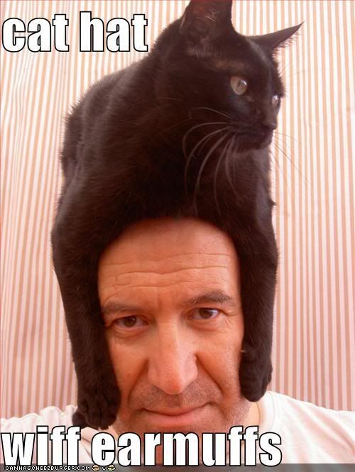 cat in hat hat. funny-pictures-cat-hat-head.