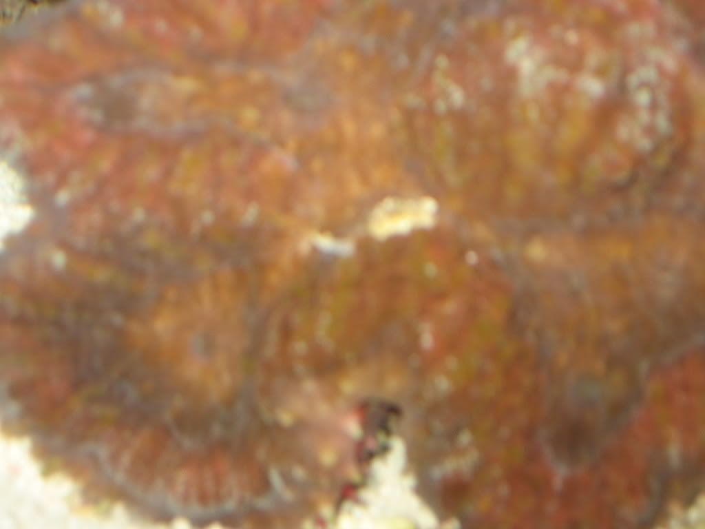 IMG_0691.jpg