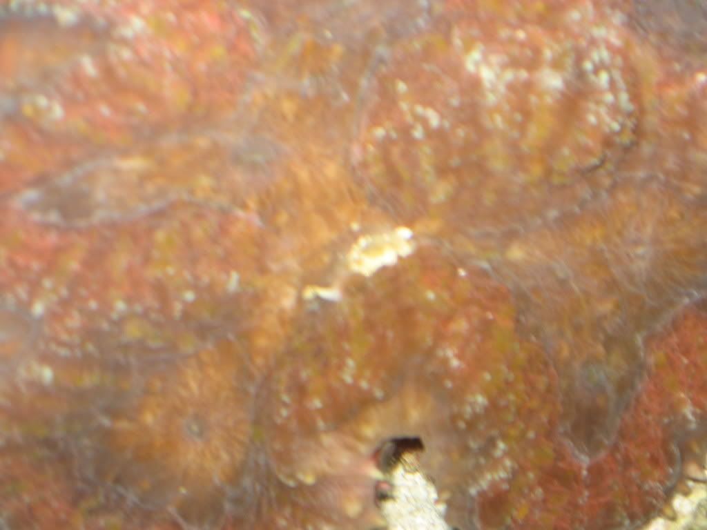 IMG_0692.jpg