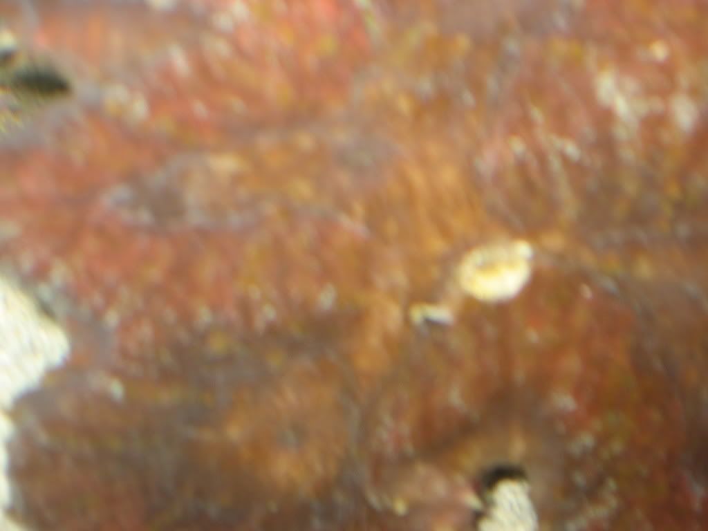 IMG_0693.jpg