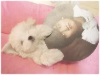 ♥‘๑’ «-:¦:-♥ hOuSe Of BamBi - Choikang ChangMIn ♥‘๑’ «-:¦:-♥