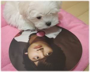 ♥‘๑’ «-:¦:-♥ hOuSe Of BamBi - Choikang ChangMIn ♥‘๑’ «-:¦:-♥