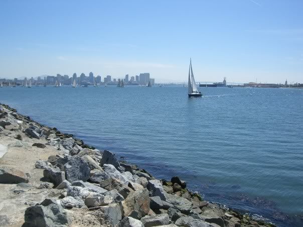 sandiegoharbor.jpg
