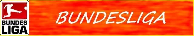 Bundesliga.jpg