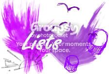 User Image