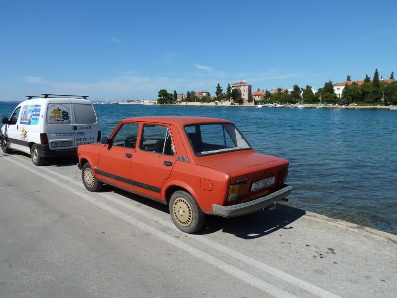 P1000030.jpg