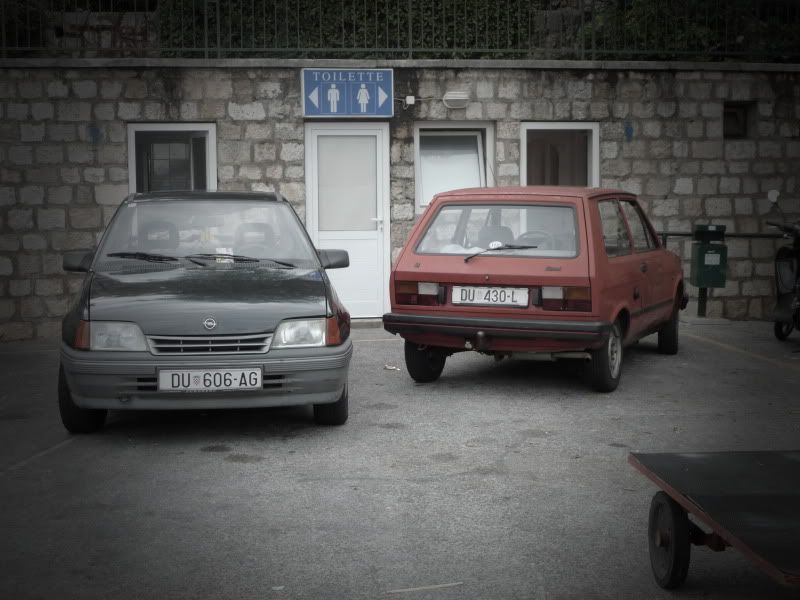 P1000383.jpg