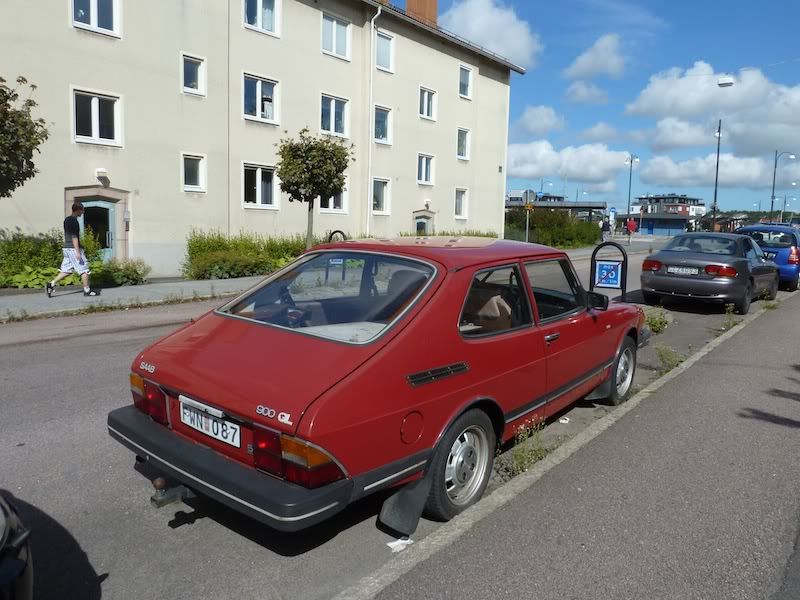 P1010574.jpg