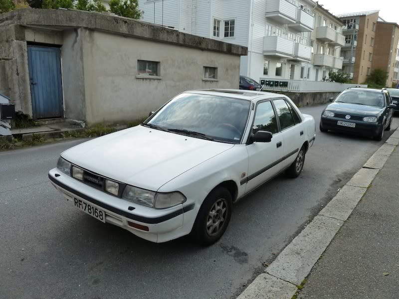 P1010846.jpg