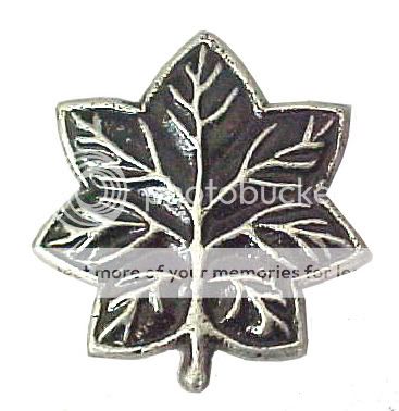 US Navy & USCG CDR USMC LT COL Officer Silver Oak Leaf  