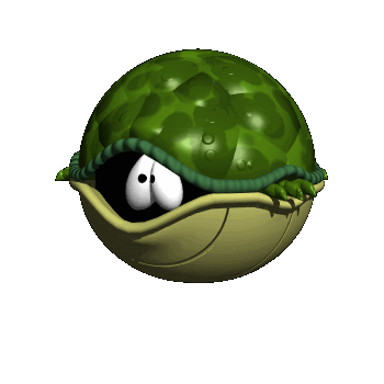 turtle_scared_hg_clr.gif