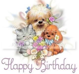 HAPPYBIRTHDAYcatanddogpicture.jpg Happy Birthday image by geminitwos