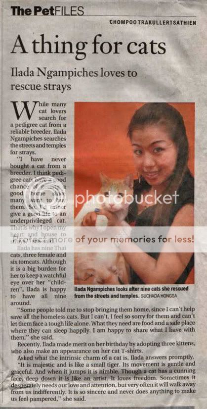 pet file bangkok post cat ilada ngampiches