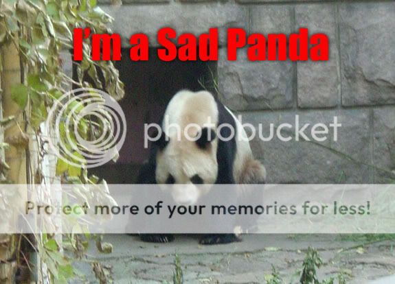 https://i210.photobucket.com/albums/bb31/lulzhax/Snedds_sad_panda.jpg?t=1186413527